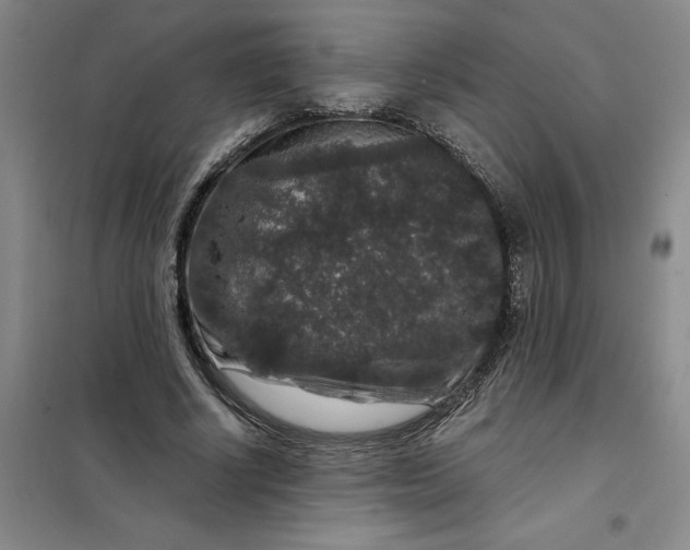 X0000098150634200805011408