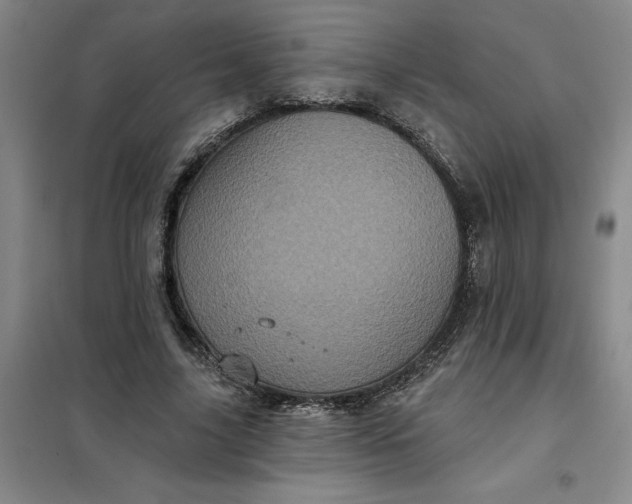 X0000098150635200805011408