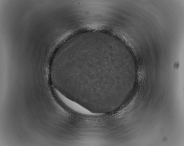 X0000098150637200805011408