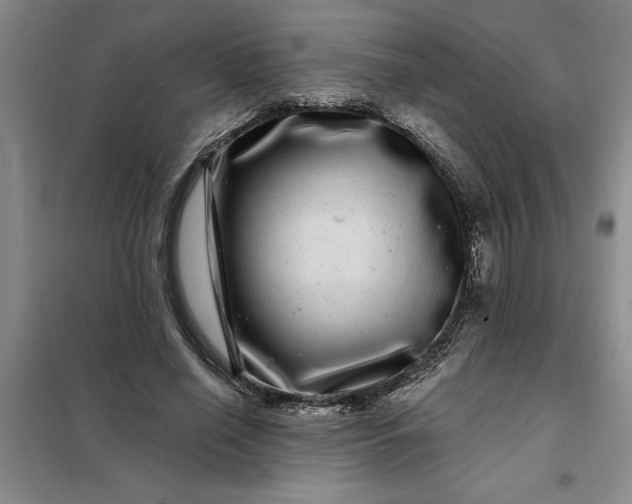 X0000098150638200805011408