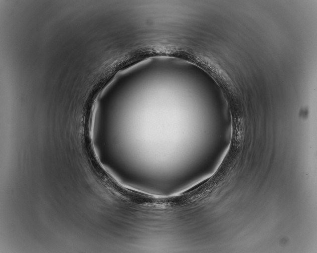 X0000098150639200805011408