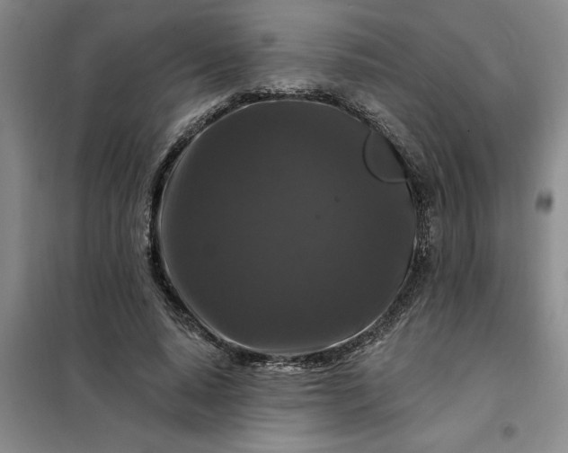 X0000098150640200805011408