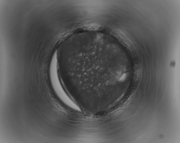 X0000098150641200805011408