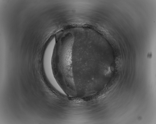 X0000098150642200805011408