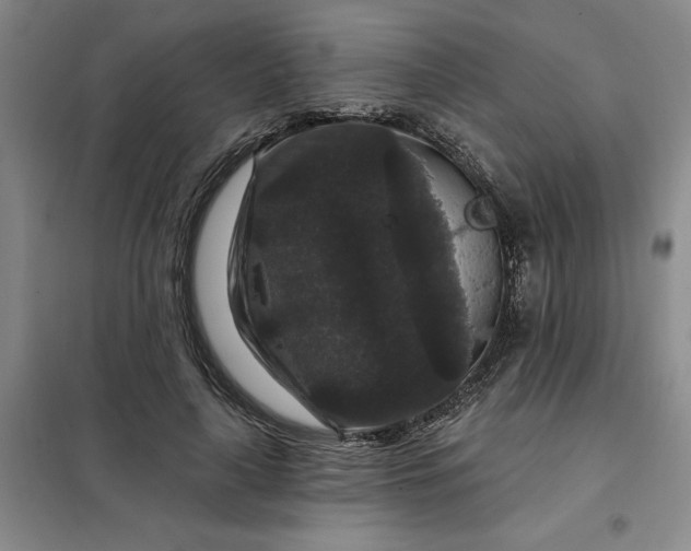 X0000098150643200805011408