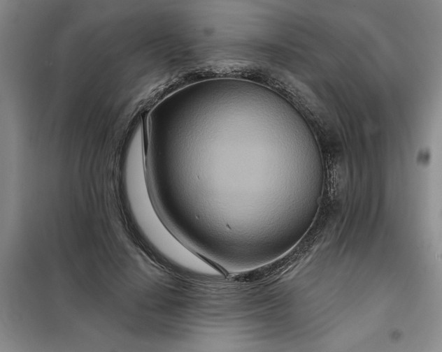 X0000098150644200805011408