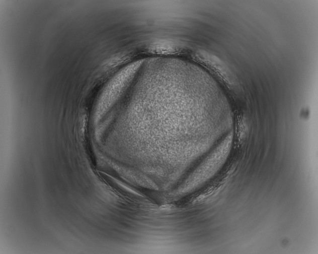X0000098150645200805011408