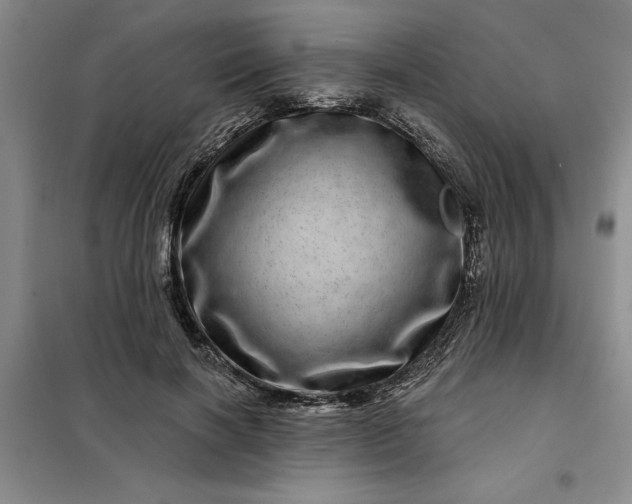 X0000098150646200805011408