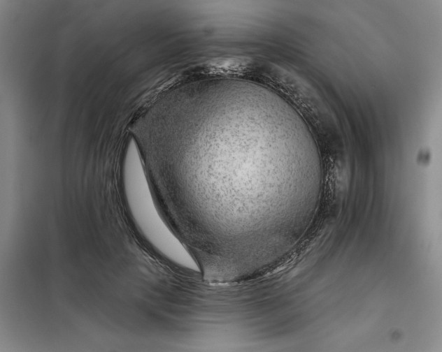 X0000098150649200805011409