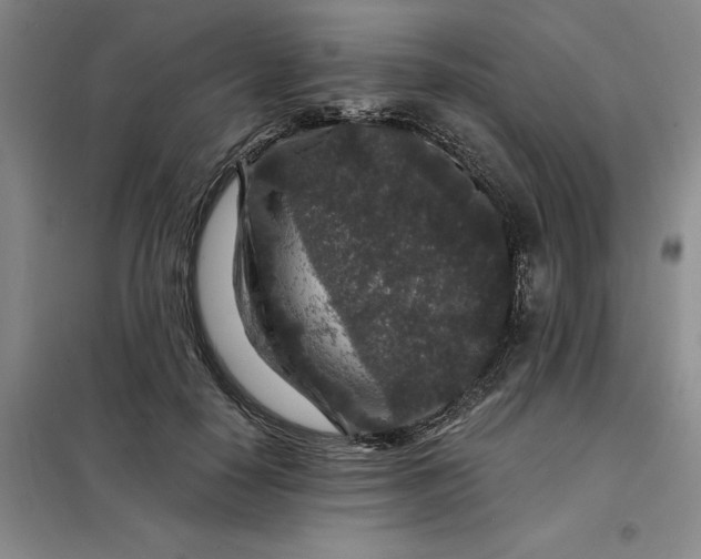 X0000098150650200805011409