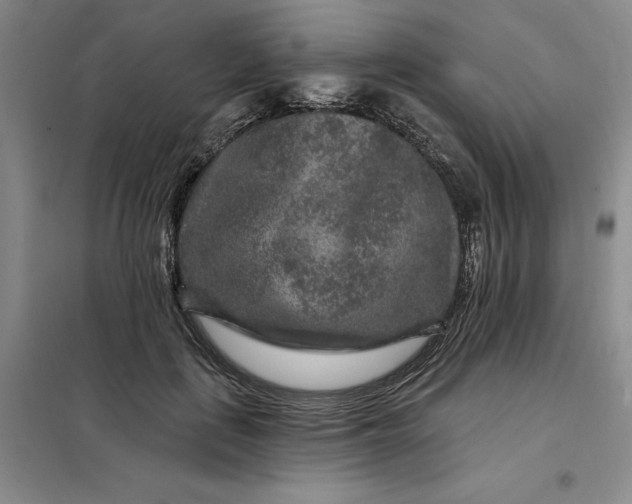 X0000098150651200805011409