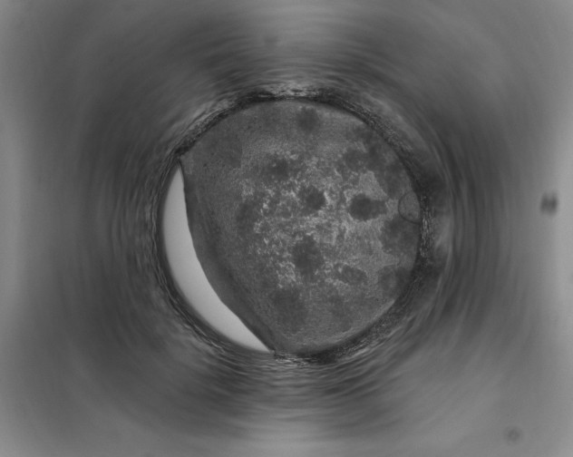 X0000098150652200805011409