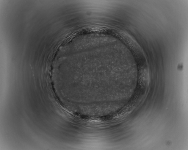 X0000098150653200805011409