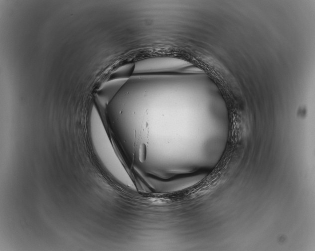X0000098150654200805011409