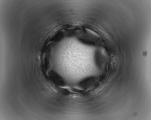 X0000098150655200805011409
