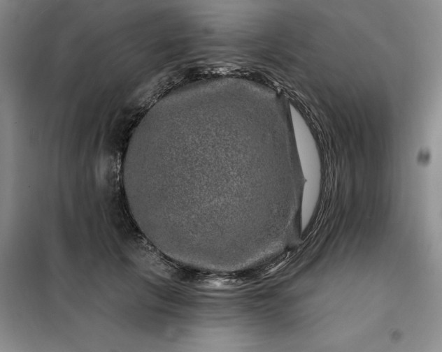 X0000098150657200805011409