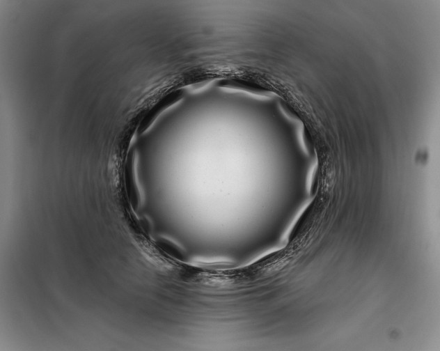 X0000098150658200805011409
