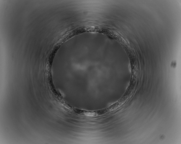 X0000098150659200805011409