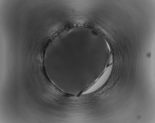 X0000098150661200805011409
