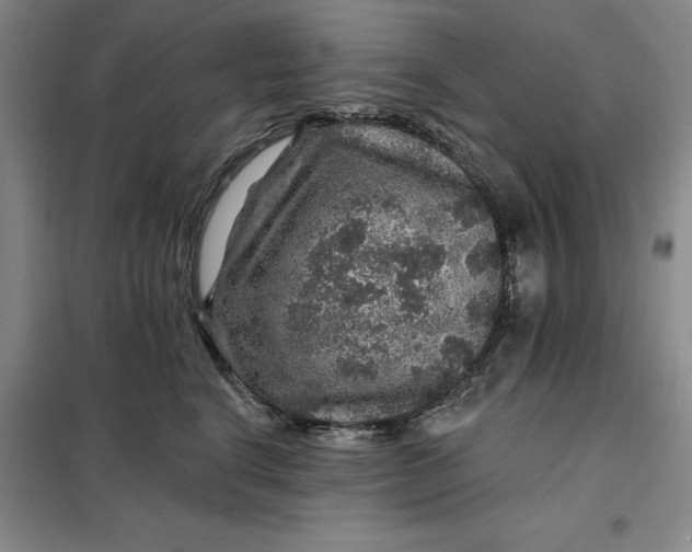 X0000098150664200805011409
