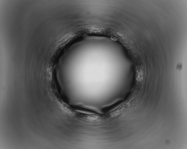X0000098150666200805011409