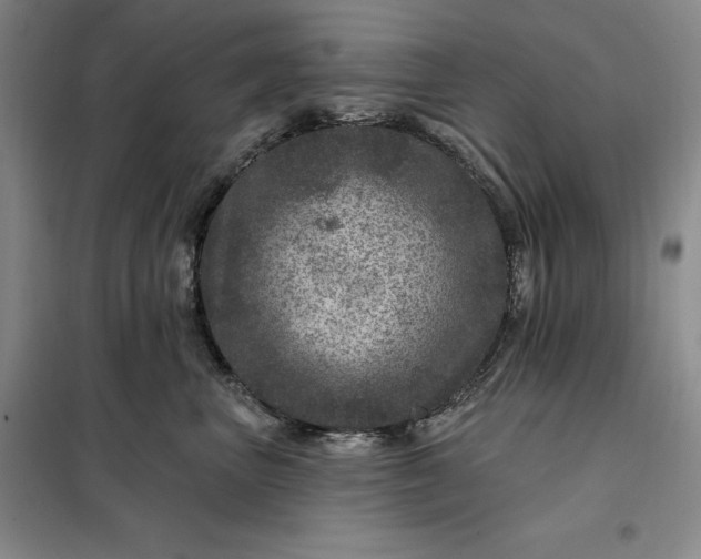 X0000098150667200805011409