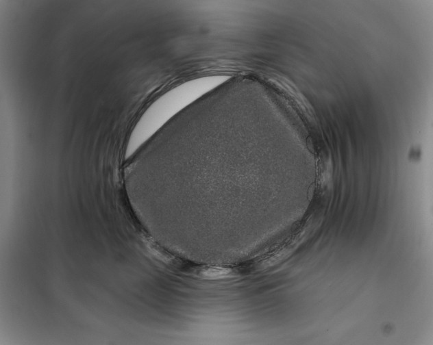 X0000098150669200805011409