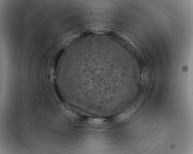 X0000098150671200805011409
