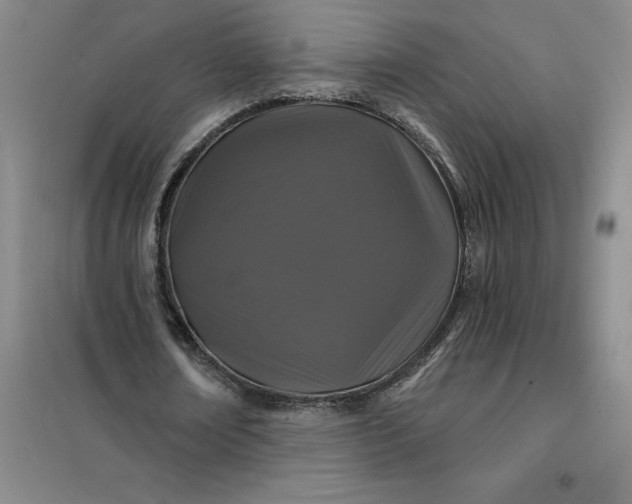 X0000098150674200805011408