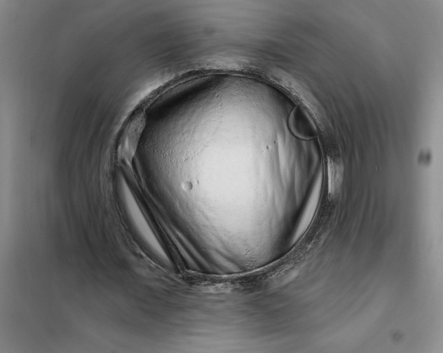 X0000098150675200805011408
