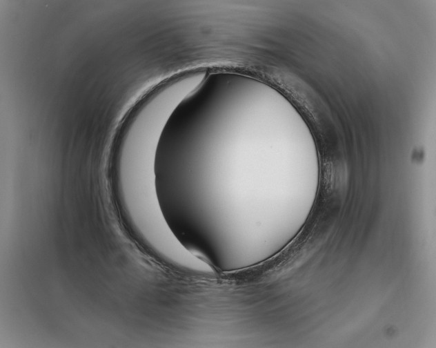 X0000098150676200805011408