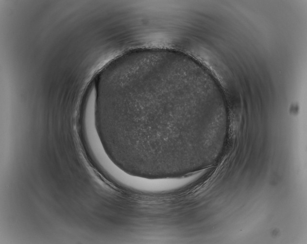 X0000098150677200805011408