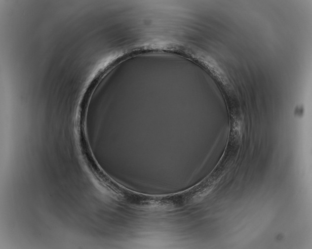 X0000098150678200805011408