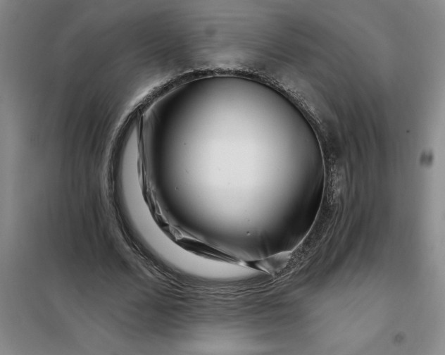 X0000098150680200805011408