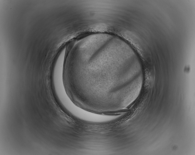 X0000098150681200805011408