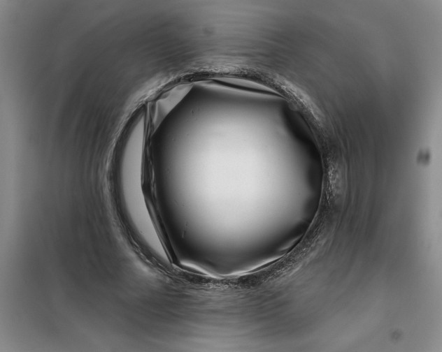 X0000098150682200805011408
