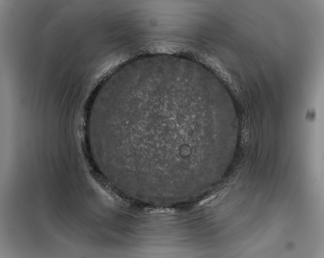 X0000098150683200805011408