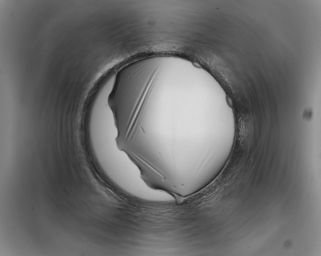 X0000098150684200805011408