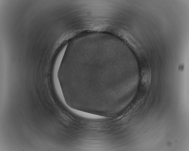 X0000098150685200805011408