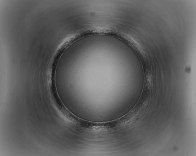 X0000098150686200805011408
