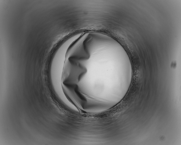 X0000098150688200805011408