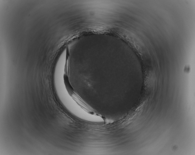 X0000098150689200805011408