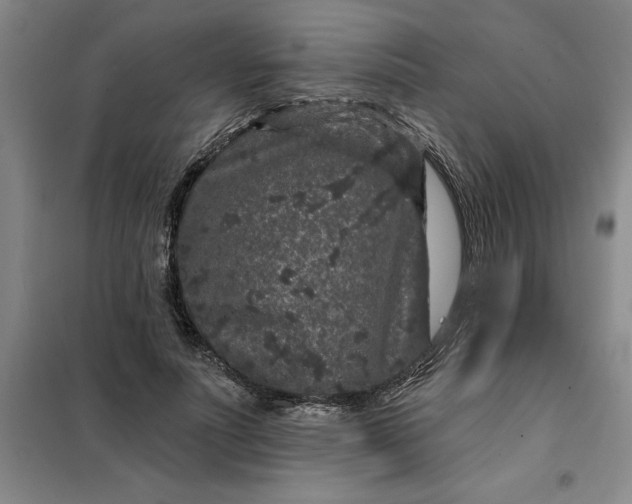 X0000098150691200805011408