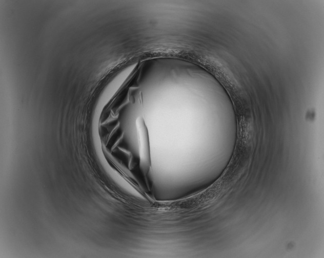X0000098150692200805011408