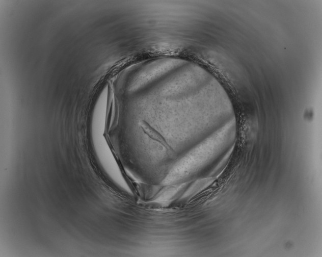 X0000098150693200805011408