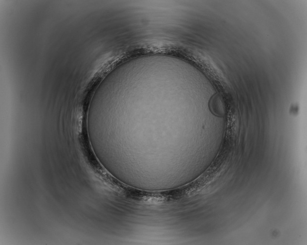 X0000098150694200805011408