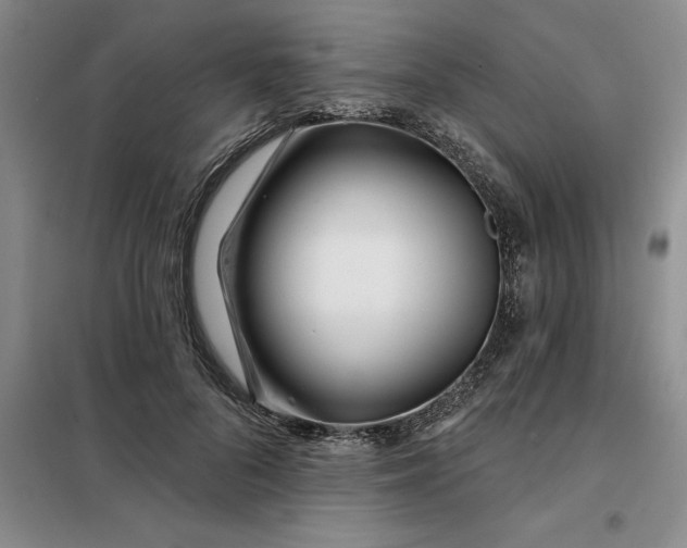 X0000098150696200805011408