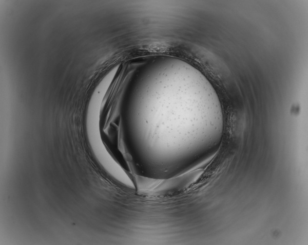 X0000098150697200805011408