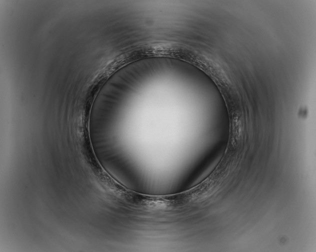 X0000098150698200805011408