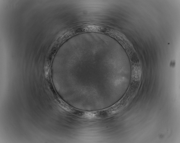 X0000098150701200805011407